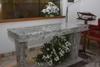 IMG_0558-Copy