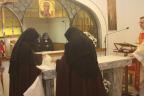 IMG_0647-Copy